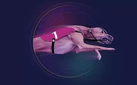 Greyhound Races